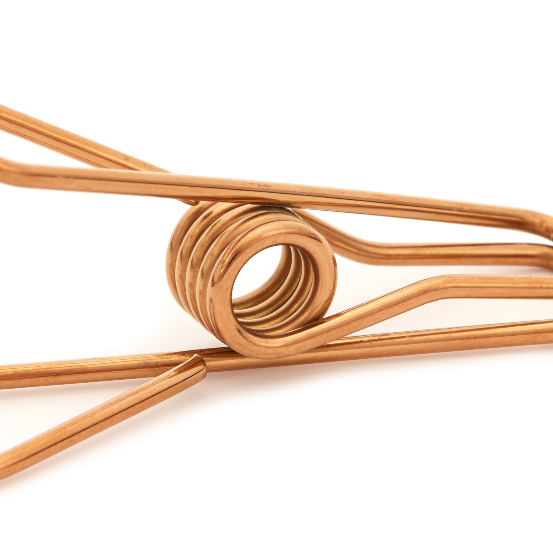 Fudgey FASTNERS - Marine Grade 316 Stainless Steel Pegs - 20 pack - Fudgey Pants