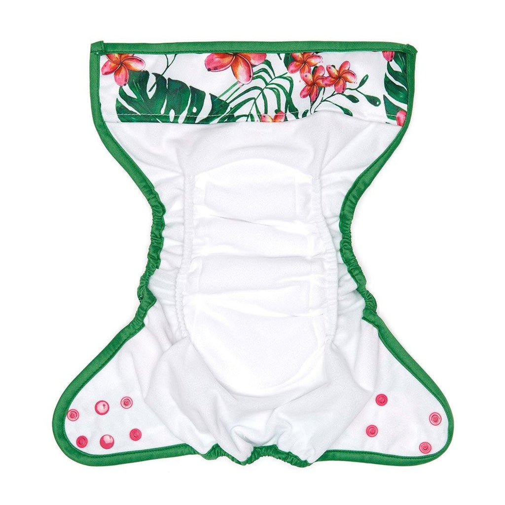 Fudgey ORIGINALS 3'n'1 - Tropipop - Fudgey Pants